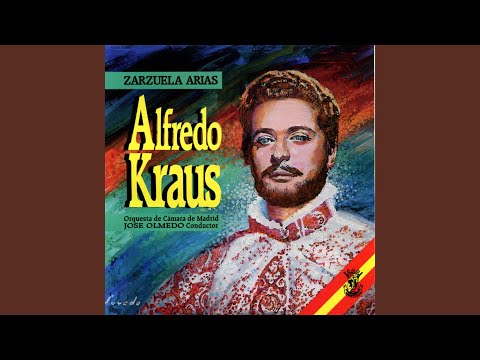 El Vagabundo y la Estrella-Alegria