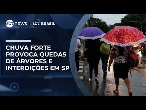 Temporal causa estragos na capital e no interior de São Paulo | #SBTBrasil