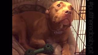 When daddy sings you a lullaby