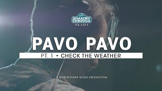 Pavo Pavo - Pt. 1, Check the Weather | Shaking Through