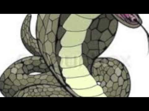 Smokey Flames - Killa Dan (Snakes)