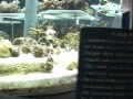 The NEW Living Seas At EPCOT