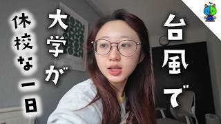 台風直撃で大学が休校になった1日vlog【MOMOLOG_326】