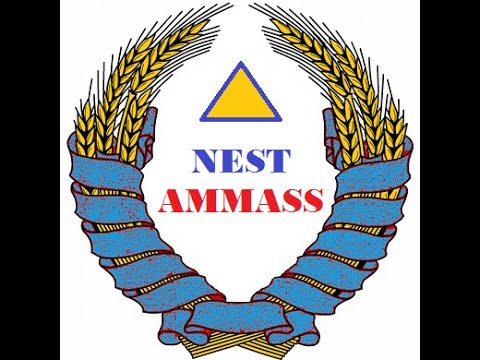 Video Nest Ammass