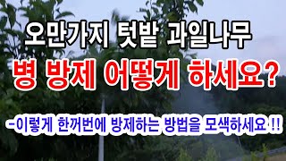 오만가지 텃밭과일나무 병 방제 어떻게 하세요? 이렇게 한꺼번에 방제하하는 방법을 모색하세요-본 영상은 앞 염…