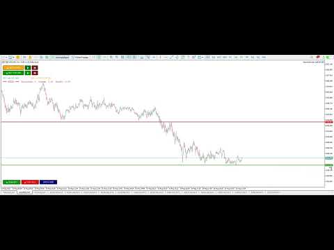 Video SemiAutomatic Grid EA
