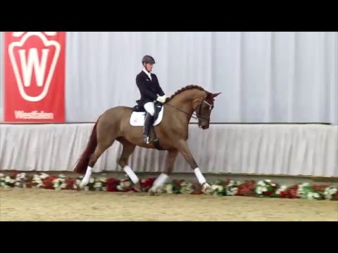 04 Vision Stute v. Vitalis - Dream On