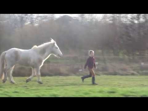 You belong to the wild🍃