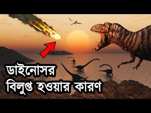 ডাইনোসর কেন বিলুপ্ত হয়ে গিয়েছিল? | Why Did Dinosaurs Disappear From Earth? Video