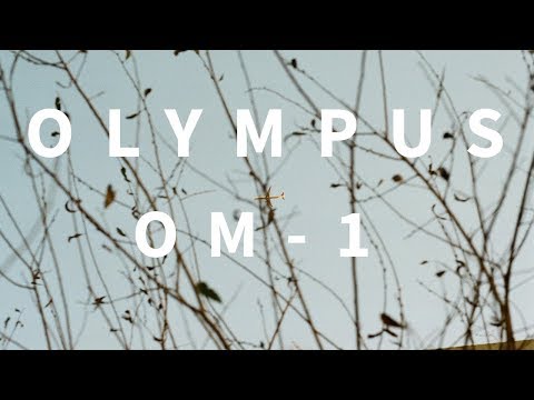 Olympus OM-1 - Camera Review