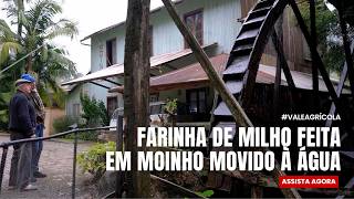 Miniatura do vídeo