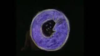 &quot;Lord Of Karma&quot; Tears For Fears