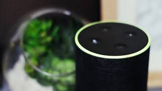 How to Stop or Change the Amazon Alexa Flashing Green Ring