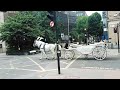 London Horse Riding