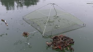 Ловля рака по первому льду