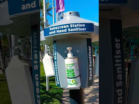 "From Sand Art, Swim to Trash Couture: A Mini Husky’s Front-Row Seat to Eco-Art at The Strand!"