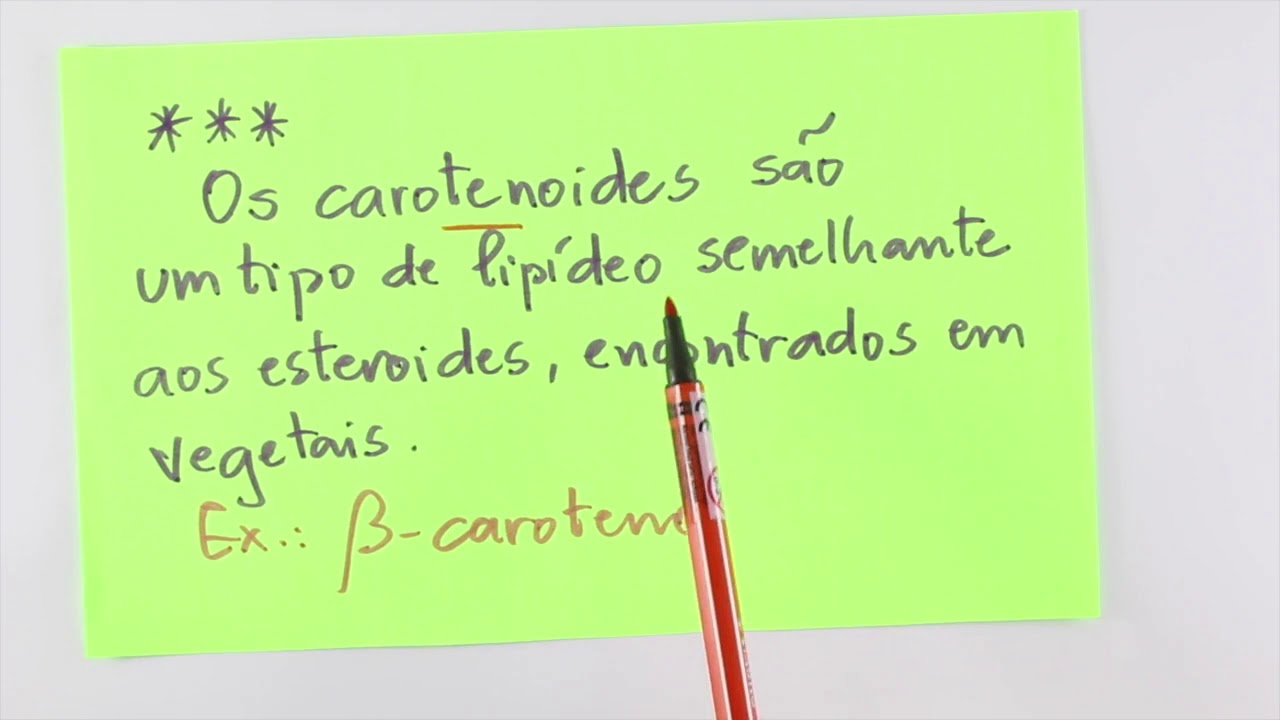 Tudo que você precisa saber sobre Lipídios