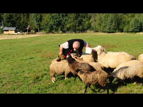 Zapraszamy do Pilchówki