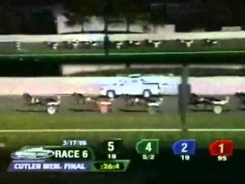 Arthur J Cutler Memorial 2008 -Corleone Kosmos