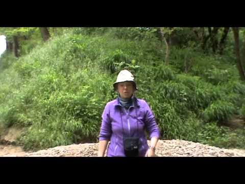 Tagesvideos auf unserem Pilgerweg der Via Francigena