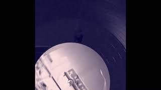 Marchetto & Scheurer – RXN Action