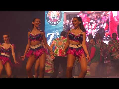 Juventude Vareira -  Beija Flor 2017 @Apresentação Sambas Enredo Ovar 2019