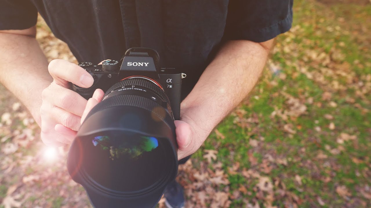 Video thumbnail for Video Review 2