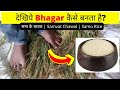 See How Bhagar Is Made Samo Rice Process In Hindi Samvat Chawal Bhagar Making In Factory
