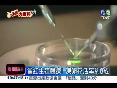 "黃金剩女"想當媽 凍卵掀風潮