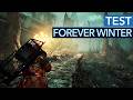 Packende Atmosphäre Trifft Auf Knallhartes Setting The Forever Winter Im Test Review