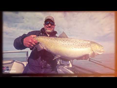 World Class Brown Trout Fishing w/ Captain Andy & Red, White and Blue Charters Lake Michigan Kenosha