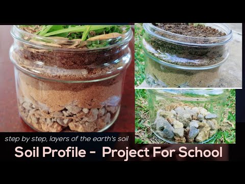 How to make Soil Profile project | layers of soil | realistic