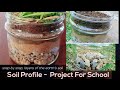 How to make Soil Profile project | layers of soil | realistic