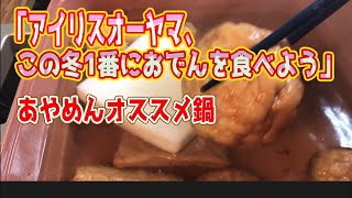 おでんの季節がやってきました（アイリスオーヤマ鍋）