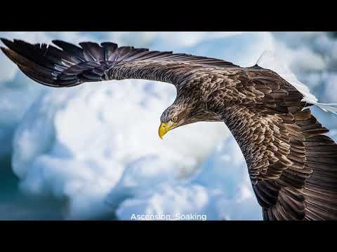 EAGLES FLIGHT - LAWRENCE OYOR || INSTRUMENTALS...