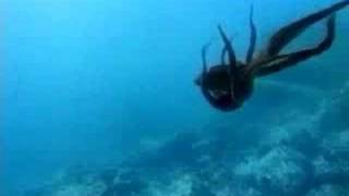 jonny hodges - the very thought of you