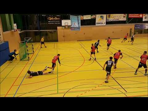 TSV Alfdorf/Lorch 1921 - SG Schozach-Bottwartal 24:24