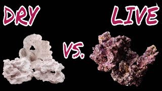Choosing Dry or Live Rock for your Reef Tank