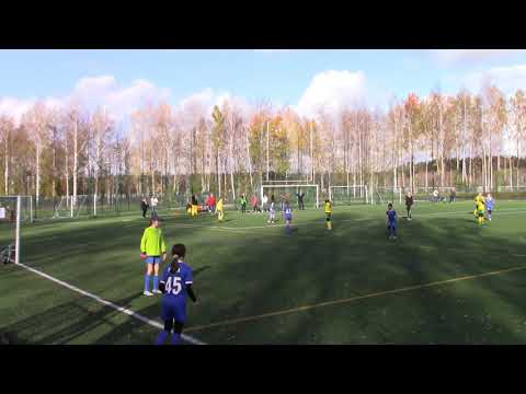 Octocup haastesarja: Ilves keltainen - HooGee Mikropandat Sininen