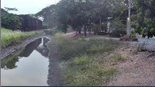 Thumbnail del capítulo