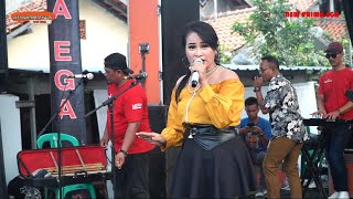 Download lagu WONG IRENG - AIDHA GONZALES 'NEW PRIMAEGA' || LIVE.JL.KIHAJAR DEWANTARA,KALINYAMAT KULON-TEGAL mp3