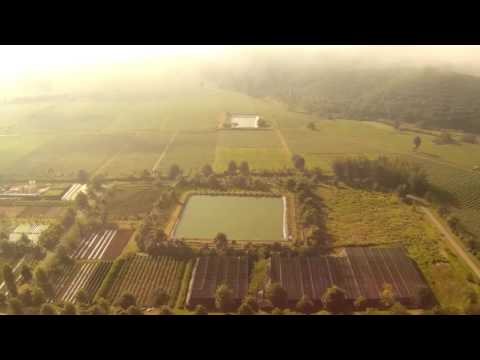 2021 0825 090510 002