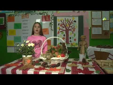 DZECINSKI ŠVET - TV emisija za ruski dzeci ( Oktober 2018)