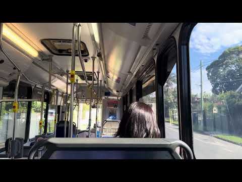 Forest Coach Lines m/o 5240 - Volvo B7RLE (ZF Ecolife)