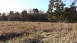 Clearfield PA 400  Acres Auction