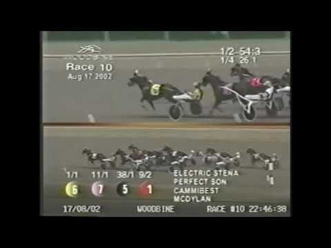 2002 Woodbine ELECTRIC STENA FFA Pace Steve Condren