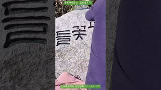 전원주택 들꽃 피는집