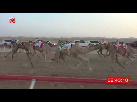  ش 4 (صخي) لـ سالم سعيد متعب العفاري 6:28:12 , شارة الديوان 1 2026/09/13 ايذاع الوقن