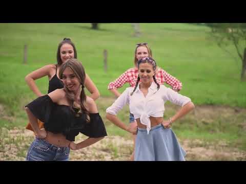 Dire Straits   Walk Of Life  dance  Video