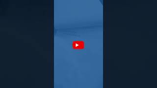 Project performance evaluation and reporting